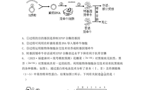 专题16植物细胞工程（原卷版）_新高考复习资料_2024年新高考复习资料_一轮复习资料_完备战2024年高考生物一轮复习重难点突破讲解与训练（新教材）_专题16植物细胞工程