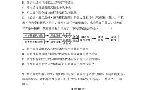 专题16植物细胞工程（原卷版）_新高考复习资料_2024年新高考复习资料_一轮复习资料_完备战2024年高考生物一轮复习重难点突破讲解与训练（新教材）_专题16植物细胞工程