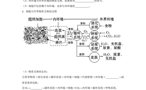 专题22人体的内环境与稳态（教师版）_新高考复习资料_2023年新高考复习资料_二轮复习_增分要点2023高考生物二轮复习专题解读和分层训练291073137_专题22人体的内环境与稳态