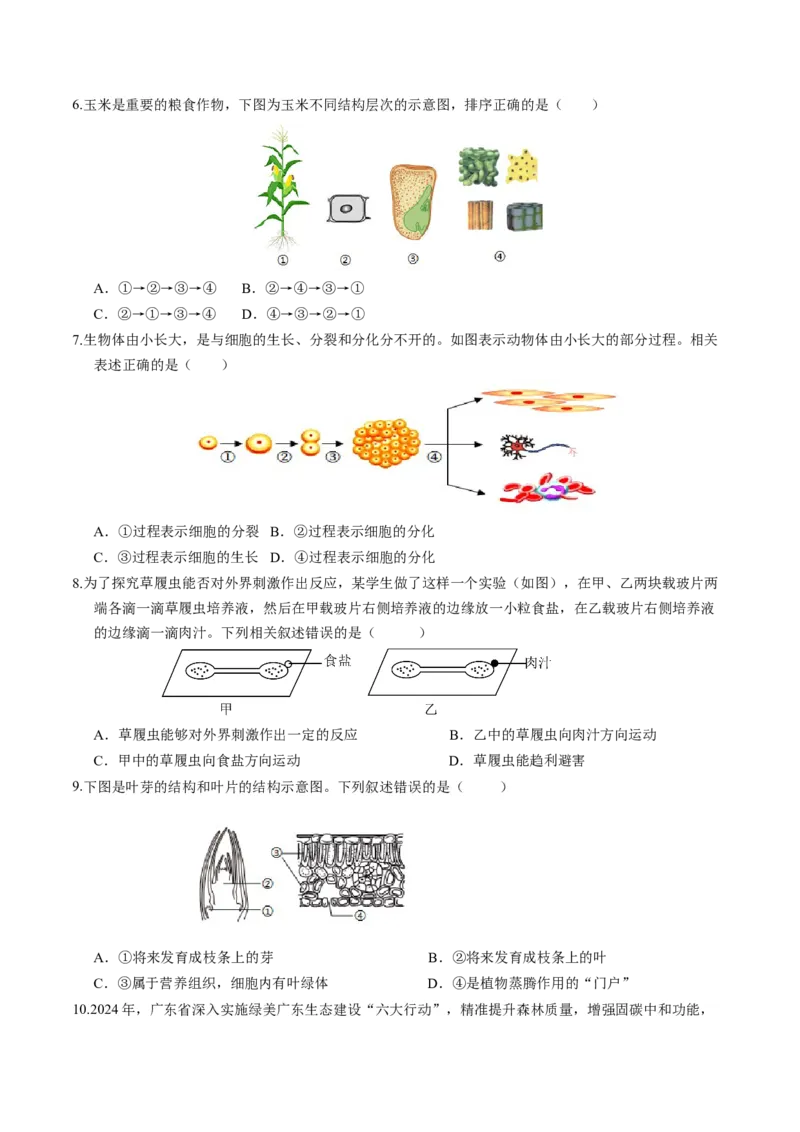 2024年中考押题预测卷（广州卷）-生物（考试版）A4_初中全科电子版试卷练习试题_生物_2024中考模拟题生物(1)_押题预测