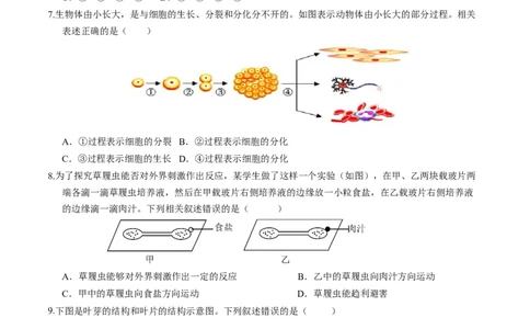 2024年中考押题预测卷（广州卷）-生物（考试版）A4_初中全科电子版试卷练习试题_生物_2024中考模拟题生物(1)_押题预测