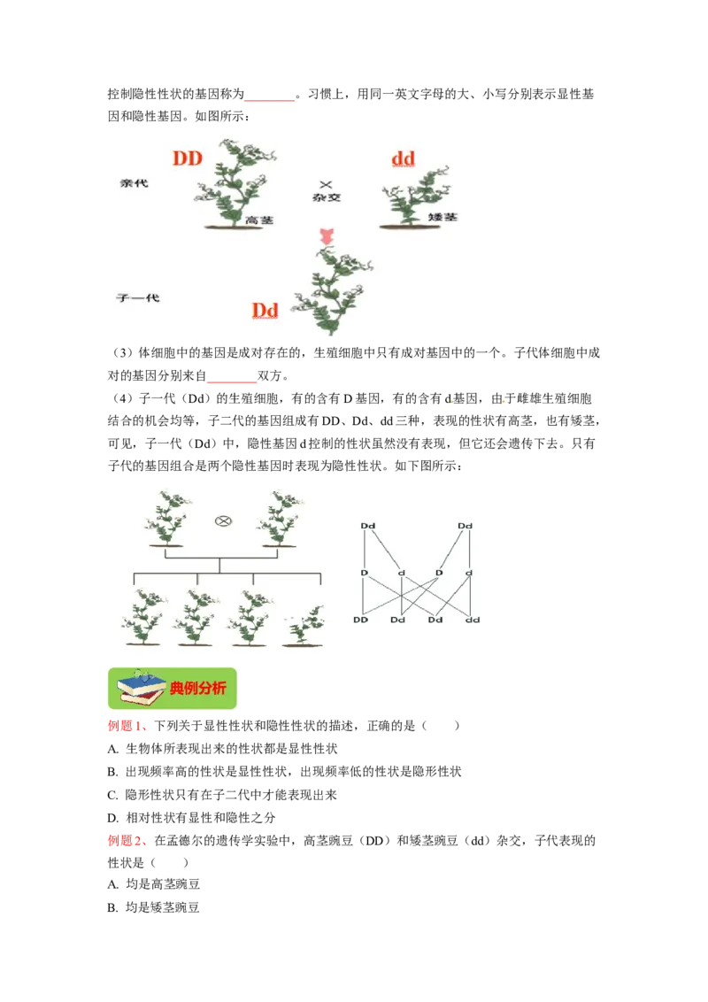 专题05基因的显性与隐性（原卷版）-2021-2022学年八年级上学期期末复习之重难点突破（人教版）_初中全科电子版试卷练习试题_生物_生物8上练习_人教生物8年级上专项练习23份