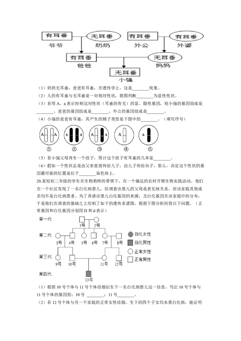 专题05基因的显性与隐性（原卷版）-2021-2022学年八年级上学期期末复习之重难点突破（人教版）_初中全科电子版试卷练习试题_生物_生物8上练习_人教生物8年级上专项练习23份