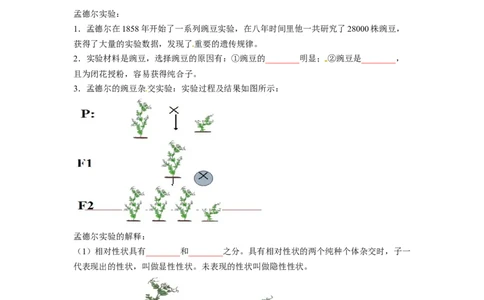 专题05基因的显性与隐性（原卷版）-2021-2022学年八年级上学期期末复习之重难点突破（人教版）_初中全科电子版试卷练习试题_生物_生物8上练习_人教生物8年级上专项练习23份