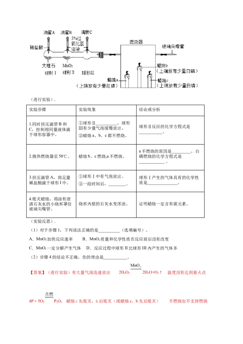 专练06（精选探究10题）（解析版）_初中全科电子版试卷练习试题_化学_9年级上下册化学试题_9年级上试题_人教化学九年级上专项练习（022份）