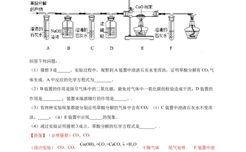 专练06（精选探究10题）（解析版）_初中全科电子版试卷练习试题_化学_9年级上下册化学试题_9年级上试题_人教化学九年级上专项练习（022份）