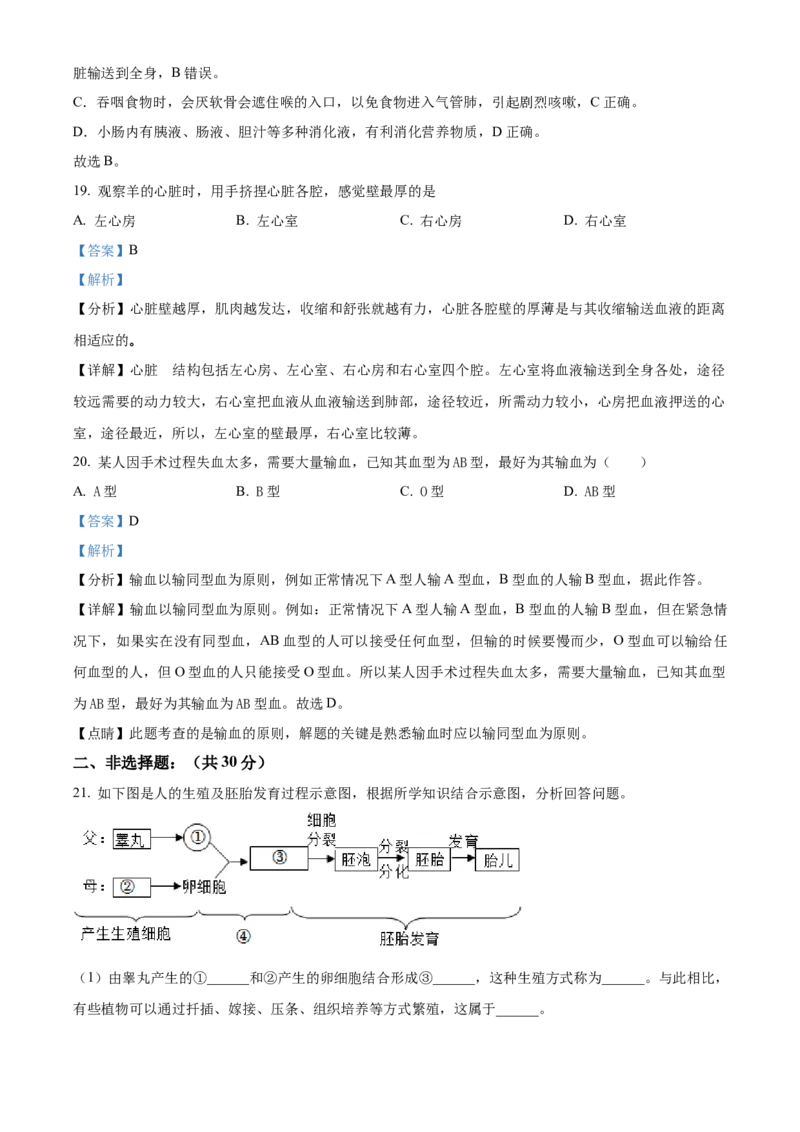 2七年级下学期期中生物试题（解析版）_初中全科电子版试卷练习试题_生物_生物人教版7下练习_人教生物7年级下期中试卷07份