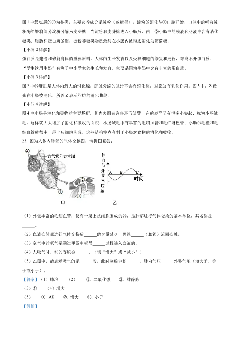 2七年级下学期期中生物试题（解析版）_初中全科电子版试卷练习试题_生物_生物人教版7下练习_人教生物7年级下期中试卷07份