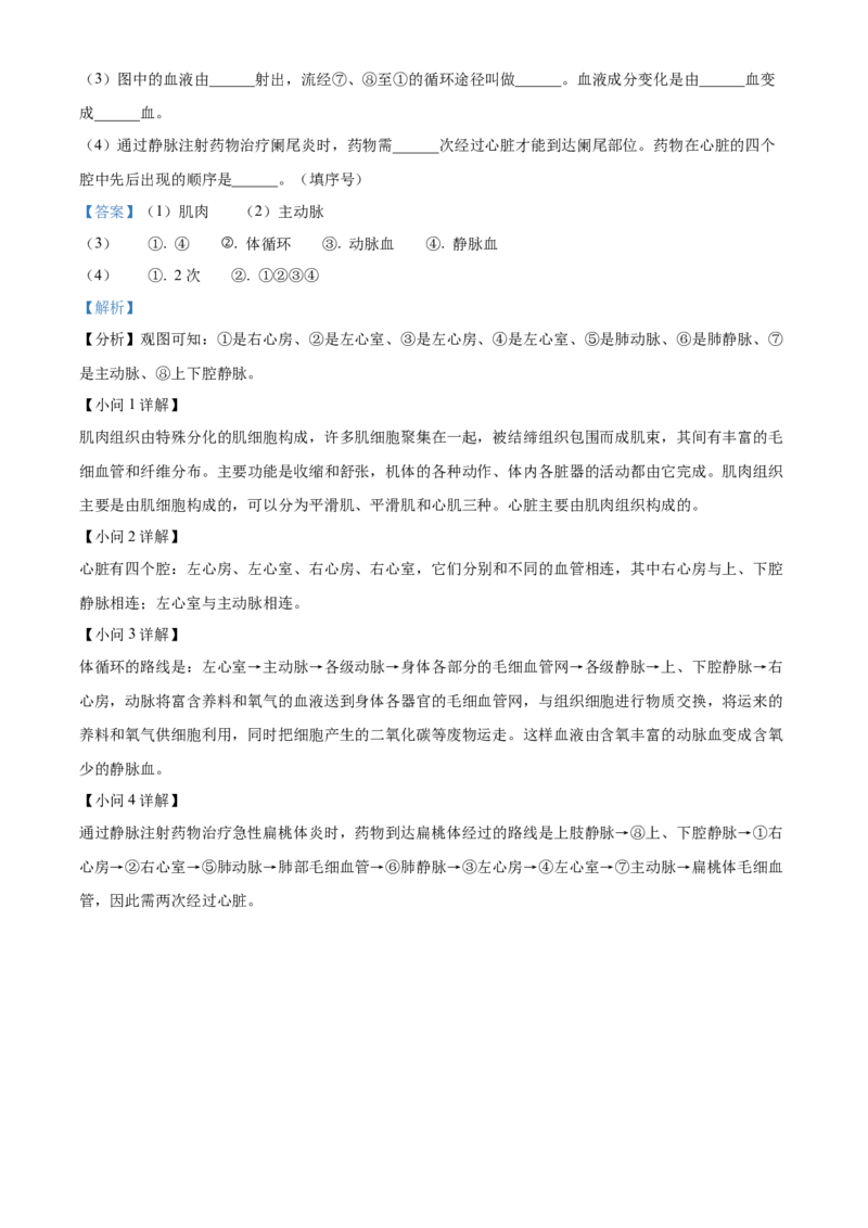 2七年级下学期期中生物试题（解析版）_初中全科电子版试卷练习试题_生物_生物人教版7下练习_人教生物7年级下期中试卷07份