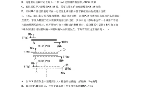 专题32基因工程（精练）（原卷版）_新高考复习资料_2024年新高考复习资料_一轮复习资料_完备战2024年高考生物一轮复习串讲精练（新高考专用）_精练