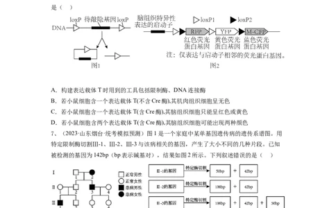 专题32基因工程（精练）（原卷版）_新高考复习资料_2024年新高考复习资料_一轮复习资料_完备战2024年高考生物一轮复习串讲精练（新高考专用）_精练