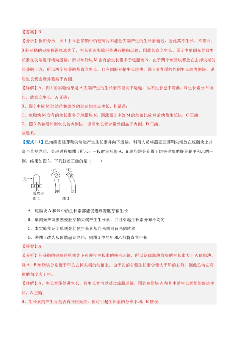 专题15植物生长调节（6大题型）（解析版）_2025年新高考资料_一轮复习_备战2025年高考生物一轮复习题型全覆盖（新高考通用）
