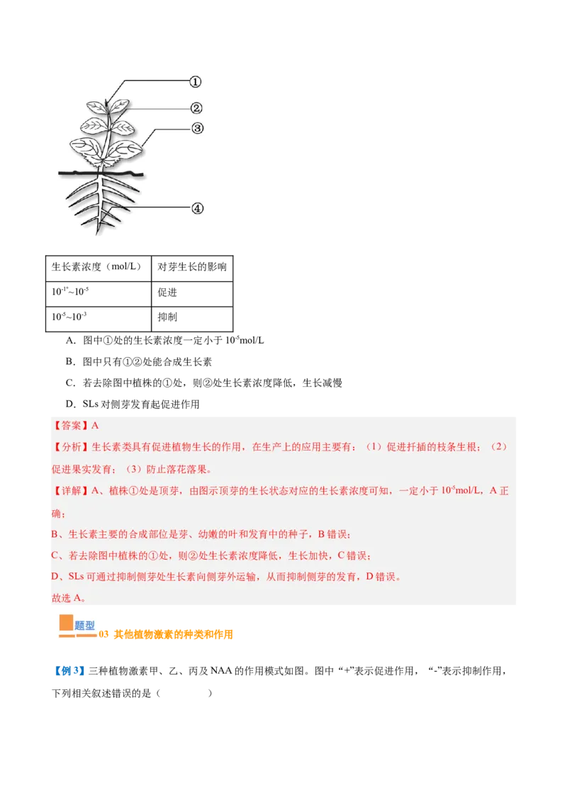 专题15植物生长调节（6大题型）（解析版）_2025年新高考资料_一轮复习_备战2025年高考生物一轮复习题型全覆盖（新高考通用）