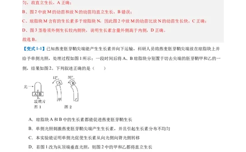 专题15植物生长调节（6大题型）（解析版）_2025年新高考资料_一轮复习_备战2025年高考生物一轮复习题型全覆盖（新高考通用）