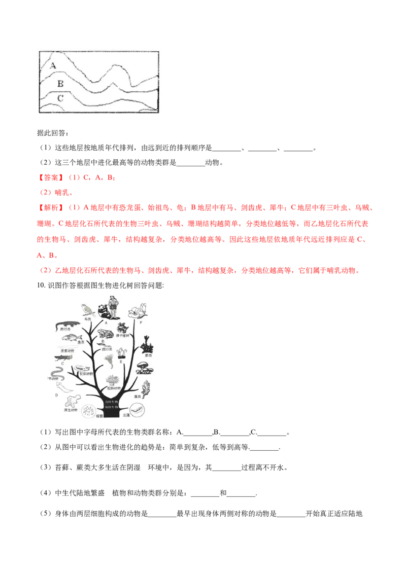 7.3.2生物进化的历程（基础练）-（人教版）（解析版）_初中全科电子版试卷练习试题_生物_生物8下练习_人教生物8年级下课时练习51份