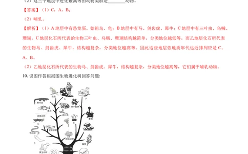 7.3.2生物进化的历程（基础练）-（人教版）（解析版）_初中全科电子版试卷练习试题_生物_生物8下练习_人教生物8年级下课时练习51份