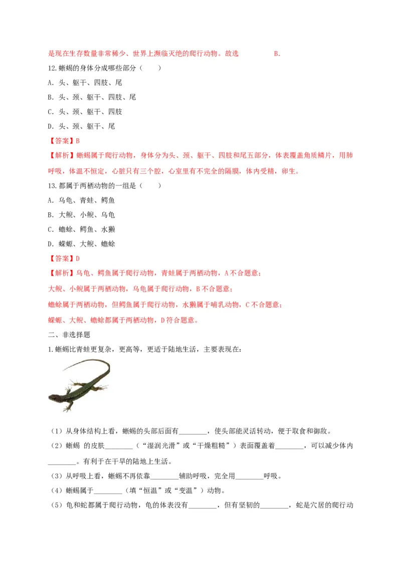 5.1.5两栖动物和爬行动（备作业）-（人教版）（解析版）_初中全科电子版试卷练习试题_生物_生物8上练习_人教生物8年级上课时练习37份