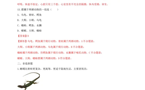 5.1.5两栖动物和爬行动（备作业）-（人教版）（解析版）_初中全科电子版试卷练习试题_生物_生物8上练习_人教生物8年级上课时练习37份