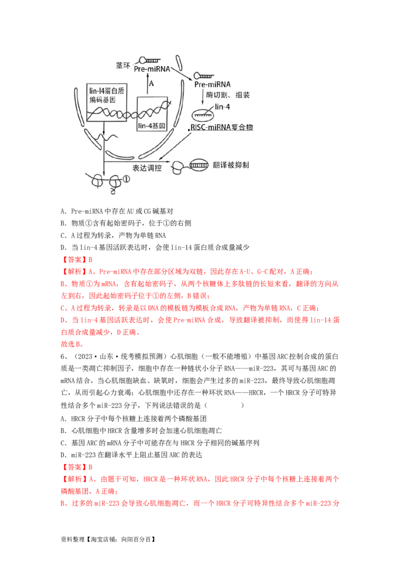 专题19基因的表达（精练）（解析版）_新高考复习资料_2024年新高考复习资料_一轮复习资料_完备战2024年高考生物一轮复习串讲精练（新高考专用）_精练_解析版