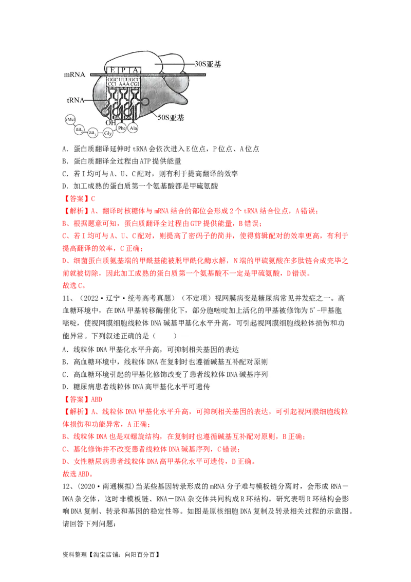 专题19基因的表达（精练）（解析版）_新高考复习资料_2024年新高考复习资料_一轮复习资料_完备战2024年高考生物一轮复习串讲精练（新高考专用）_精练_解析版