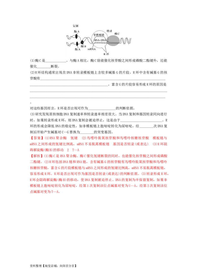 专题19基因的表达（精练）（解析版）_新高考复习资料_2024年新高考复习资料_一轮复习资料_完备战2024年高考生物一轮复习串讲精练（新高考专用）_精练_解析版