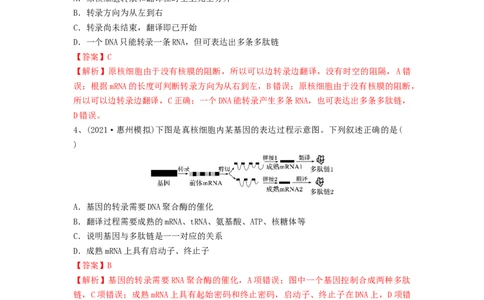专题19基因的表达（精练）（解析版）_新高考复习资料_2024年新高考复习资料_一轮复习资料_完备战2024年高考生物一轮复习串讲精练（新高考专用）_精练_解析版