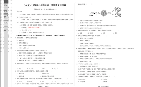 七年级生物期末模拟卷01（考试版A3）测试范围：上册全册（人教版2024）_初中全科电子版试卷练习试题_生物_生物人教版7上练习&mdash;24新版已更新_人教生物7年级上期末试卷11份