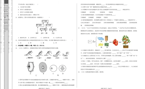 七年级生物期末模拟卷01（考试版A3）测试范围：上册全册（人教版2024）_初中全科电子版试卷练习试题_生物_生物人教版7上练习&mdash;24新版已更新_人教生物7年级上期末试卷11份