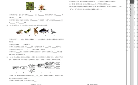 七年级生物期末模拟卷01（考试版A3）测试范围：上册全册（人教版2024）_初中全科电子版试卷练习试题_生物_生物人教版7上练习&mdash;24新版已更新_人教生物7年级上期末试卷11份