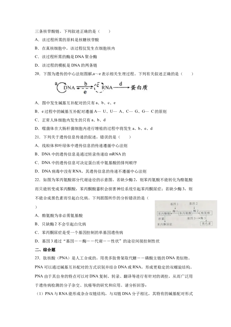 专题18基因的表达(学生版)_新高考复习资料_2023年新高考复习资料_二轮复习_增分要点2023高考生物二轮复习专题解读和分层训练291073137