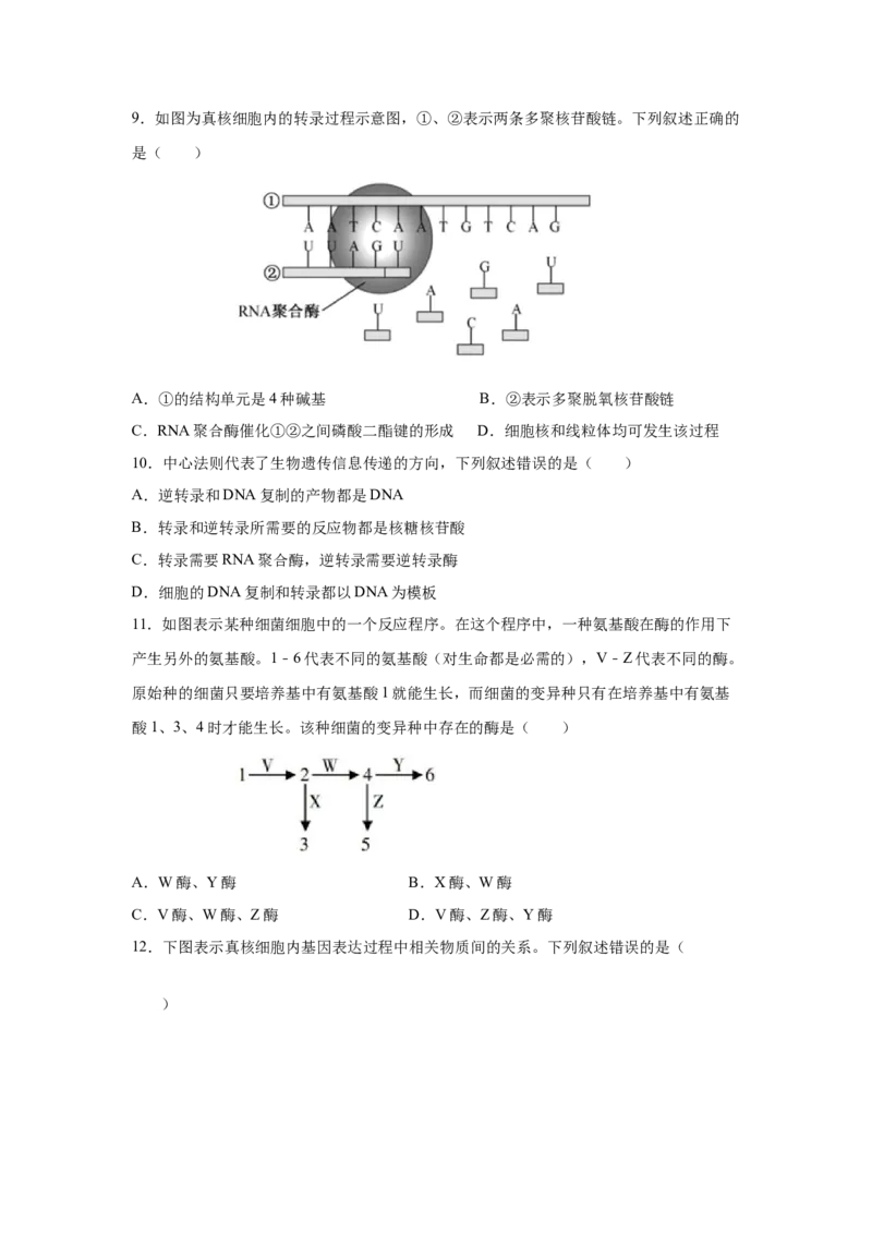专题18基因的表达(学生版)_新高考复习资料_2023年新高考复习资料_二轮复习_增分要点2023高考生物二轮复习专题解读和分层训练291073137
