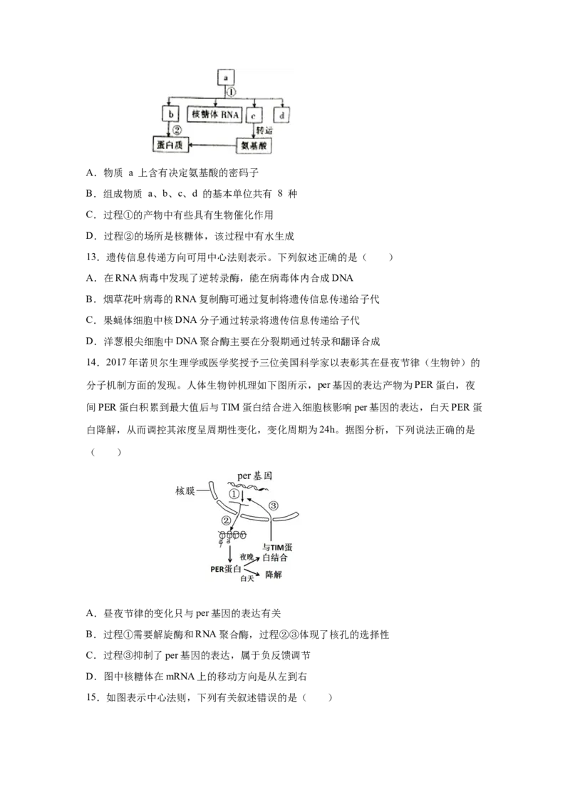 专题18基因的表达(学生版)_新高考复习资料_2023年新高考复习资料_二轮复习_增分要点2023高考生物二轮复习专题解读和分层训练291073137