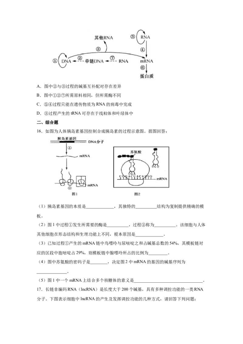 专题18基因的表达(学生版)_新高考复习资料_2023年新高考复习资料_二轮复习_增分要点2023高考生物二轮复习专题解读和分层训练291073137