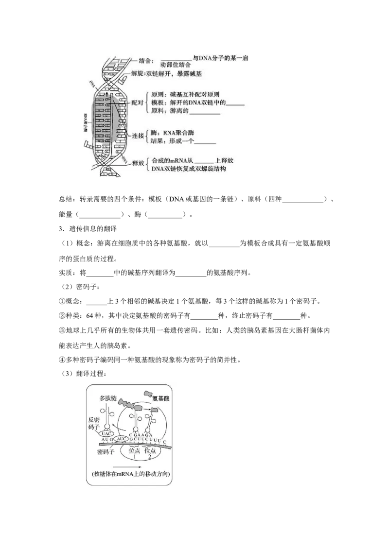专题18基因的表达(学生版)_新高考复习资料_2023年新高考复习资料_二轮复习_增分要点2023高考生物二轮复习专题解读和分层训练291073137