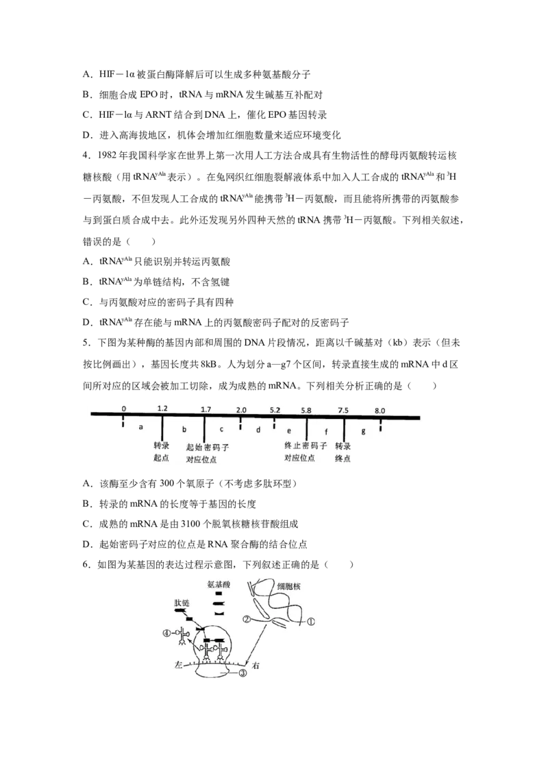 专题18基因的表达(学生版)_新高考复习资料_2023年新高考复习资料_二轮复习_增分要点2023高考生物二轮复习专题解读和分层训练291073137