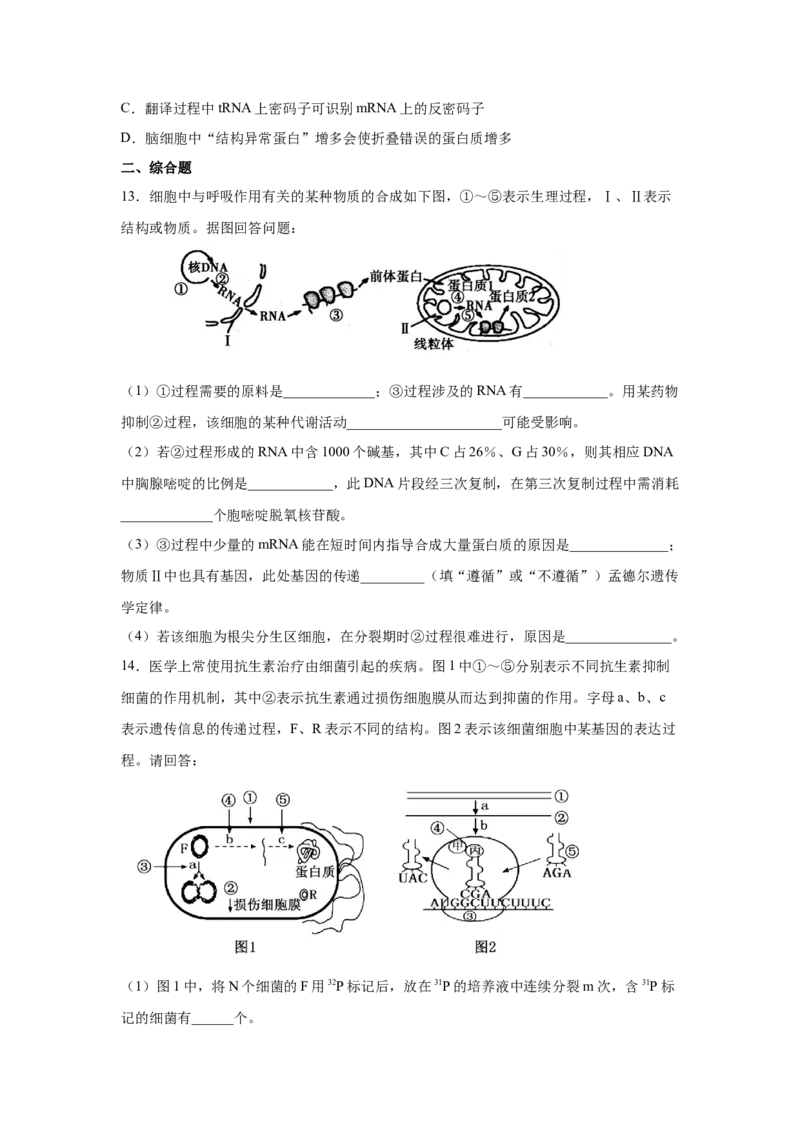 专题18基因的表达(学生版)_新高考复习资料_2023年新高考复习资料_二轮复习_增分要点2023高考生物二轮复习专题解读和分层训练291073137