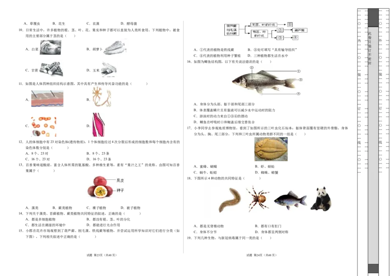 七年级生物期末模拟卷02（考试版A3）测试范围：七上全册（人教版2024）_初中全科电子版试卷练习试题_生物_生物人教版7上练习&mdash;24新版已更新_人教生物7年级上期末试卷11份
