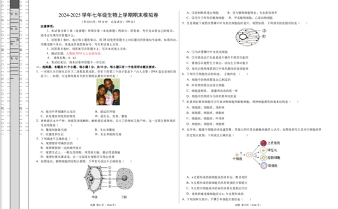 七年级生物期末模拟卷02（考试版A3）测试范围：七上全册（人教版2024）_初中全科电子版试卷练习试题_生物_生物人教版7上练习&mdash;24新版已更新_人教生物7年级上期末试卷11份