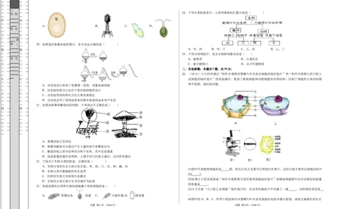 七年级生物期末模拟卷02（考试版A3）测试范围：七上全册（人教版2024）_初中全科电子版试卷练习试题_生物_生物人教版7上练习&mdash;24新版已更新_人教生物7年级上期末试卷11份