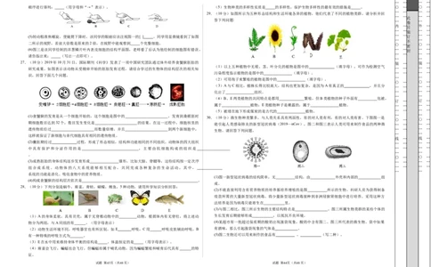 七年级生物期末模拟卷02（考试版A3）测试范围：七上全册（人教版2024）_初中全科电子版试卷练习试题_生物_生物人教版7上练习&mdash;24新版已更新_人教生物7年级上期末试卷11份