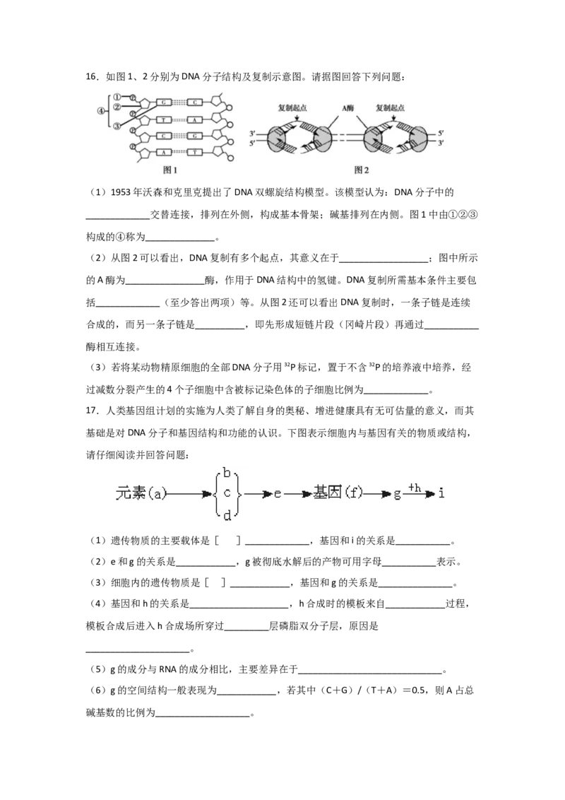 专题17_DNA的结构、复制与基因的本质(学生版)_新高考复习资料_2023年新高考复习资料_二轮复习_增分要点2023高考生物二轮复习专题解读和分层训练291073137