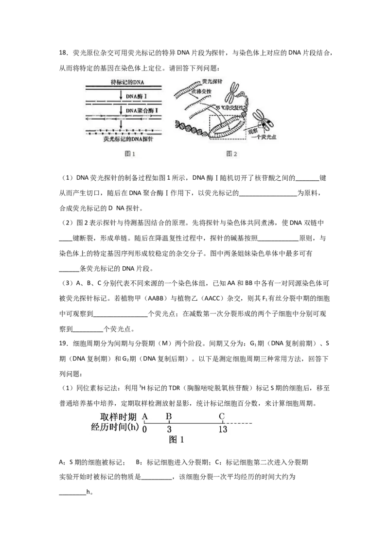 专题17_DNA的结构、复制与基因的本质(学生版)_新高考复习资料_2023年新高考复习资料_二轮复习_增分要点2023高考生物二轮复习专题解读和分层训练291073137