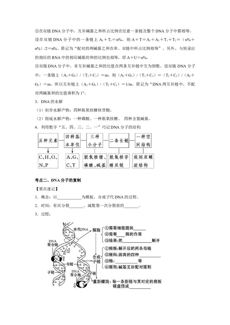 专题17_DNA的结构、复制与基因的本质(学生版)_新高考复习资料_2023年新高考复习资料_二轮复习_增分要点2023高考生物二轮复习专题解读和分层训练291073137
