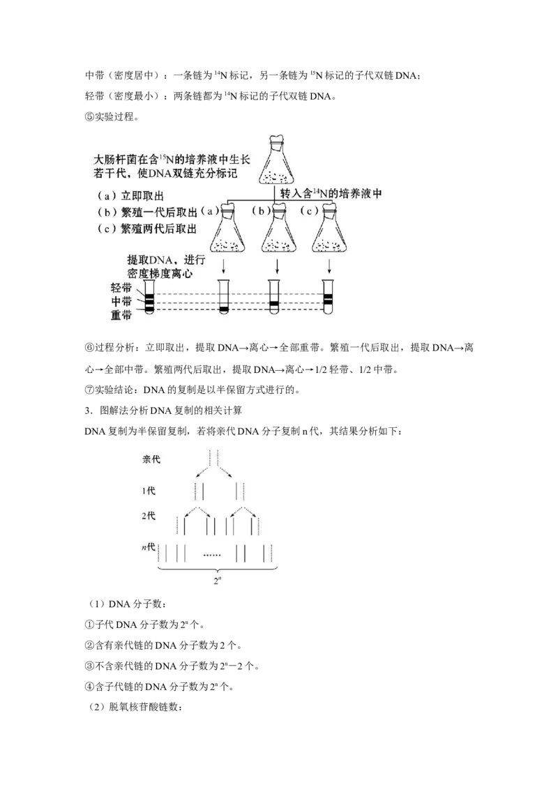 专题17_DNA的结构、复制与基因的本质(学生版)_新高考复习资料_2023年新高考复习资料_二轮复习_增分要点2023高考生物二轮复习专题解读和分层训练291073137