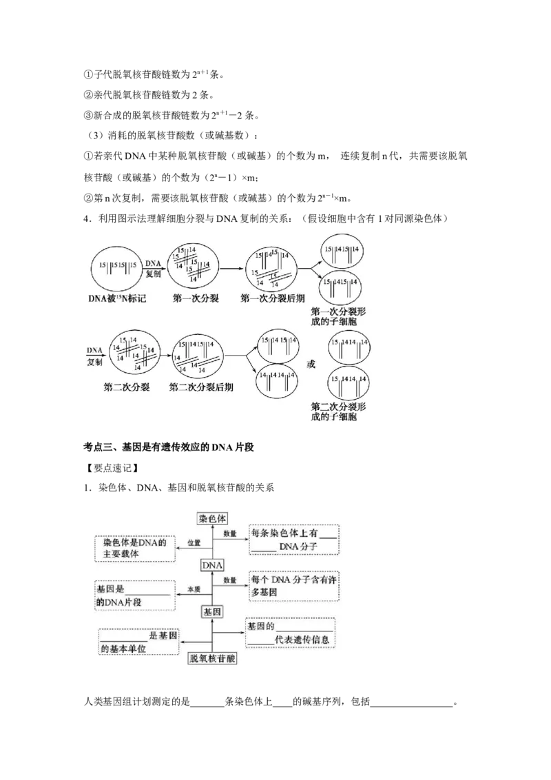 专题17_DNA的结构、复制与基因的本质(学生版)_新高考复习资料_2023年新高考复习资料_二轮复习_增分要点2023高考生物二轮复习专题解读和分层训练291073137