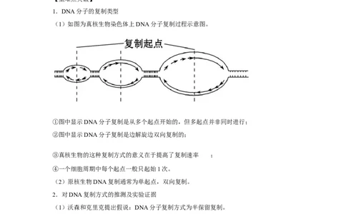 专题17_DNA的结构、复制与基因的本质(学生版)_新高考复习资料_2023年新高考复习资料_二轮复习_增分要点2023高考生物二轮复习专题解读和分层训练291073137