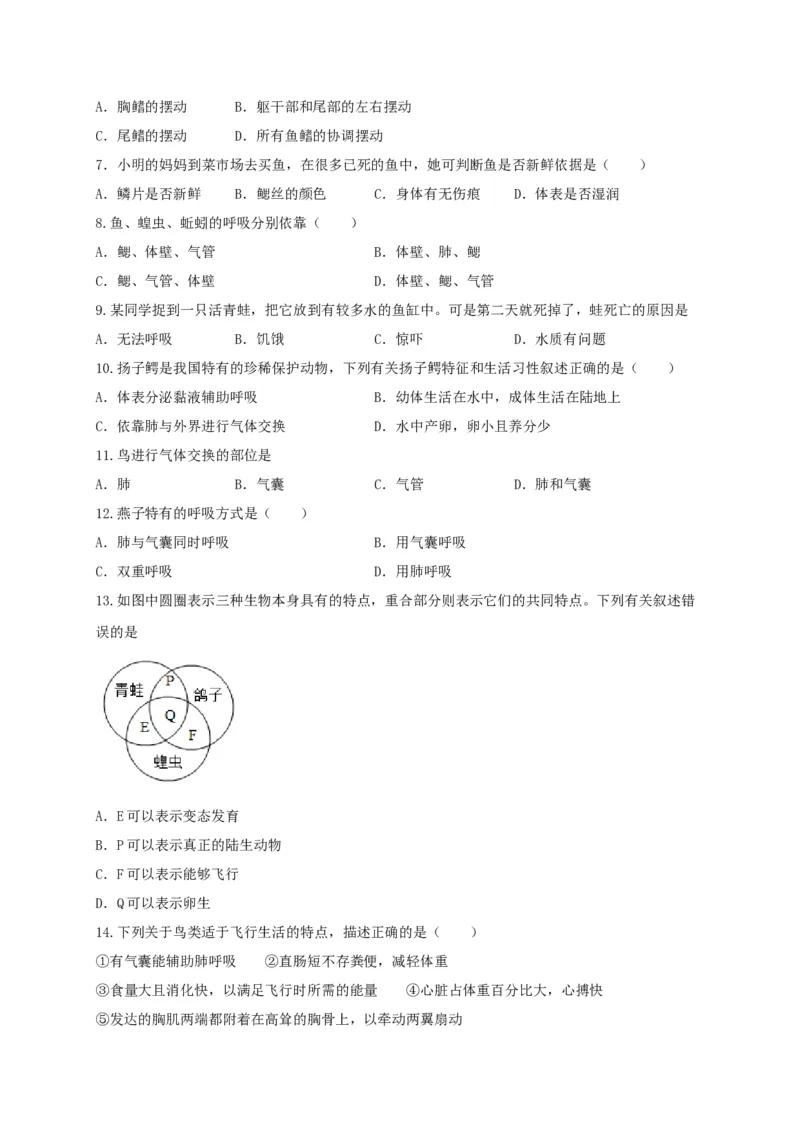 专题02脊椎动物-（人教版）（原卷版）_初中全科电子版试卷练习试题_生物_生物8上练习_人教生物8年级上专项练习23份_第1套八年级生物上册专项（人教版）09份