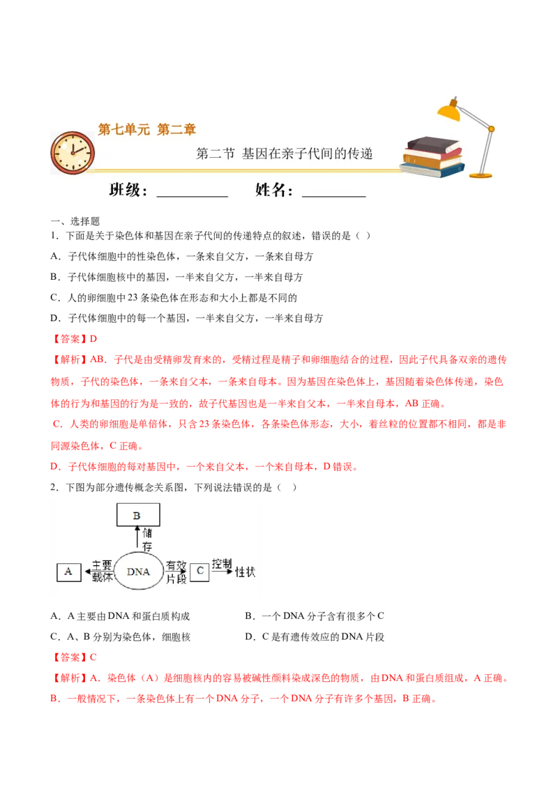 7.2.2基因在亲子代间的传递（重点练）-（人教版）（解析版）_初中全科电子版试卷练习试题_生物_生物8下练习_人教生物8年级下课时练习51份