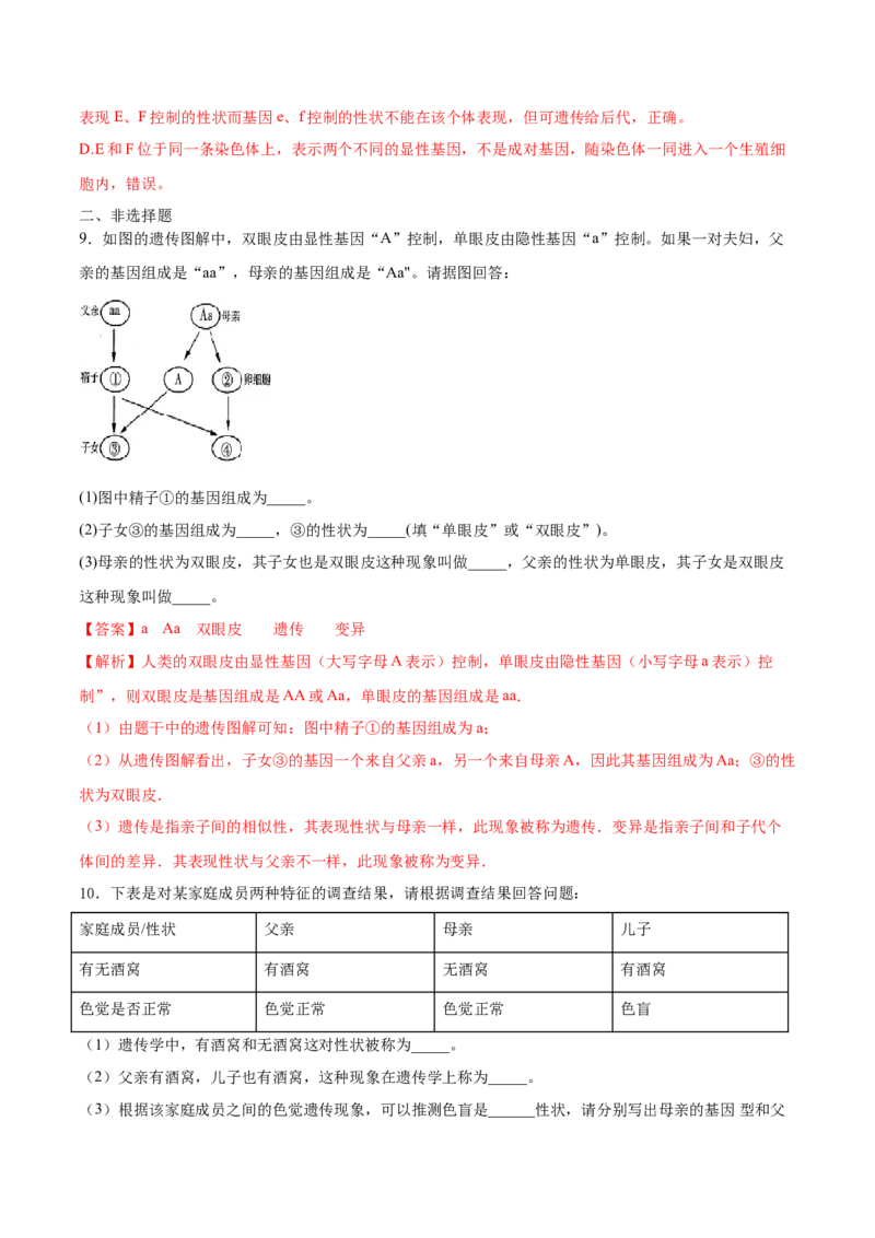 7.2.2基因在亲子代间的传递（重点练）-（人教版）（解析版）_初中全科电子版试卷练习试题_生物_生物8下练习_人教生物8年级下课时练习51份