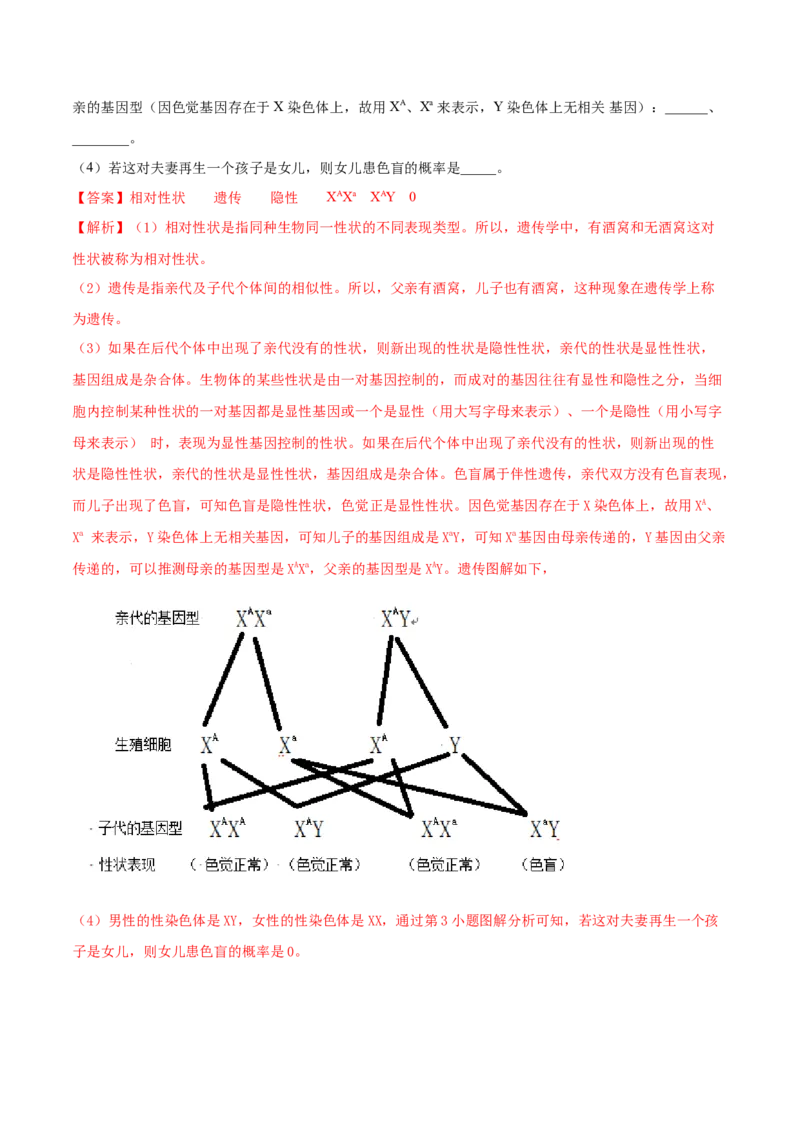 7.2.2基因在亲子代间的传递（重点练）-（人教版）（解析版）_初中全科电子版试卷练习试题_生物_生物8下练习_人教生物8年级下课时练习51份
